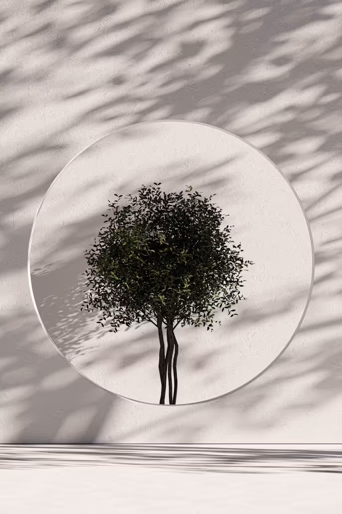 A stylised green tree on a cream background, representing steady, sustainable growth